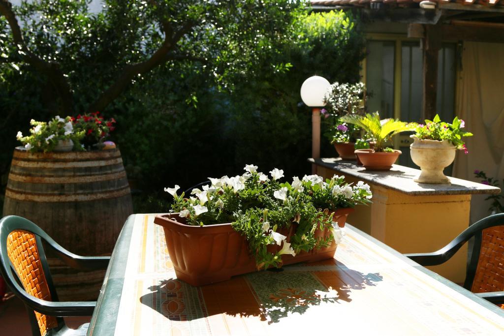 B&B La Villa Presicce Extérieur photo